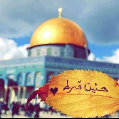 Haneen