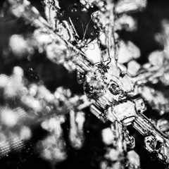 olympic snow