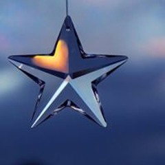 陳星