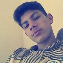 Guilherme Julio Stiegler