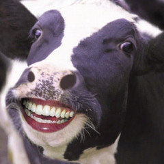 Terraria Music - Mushrooms