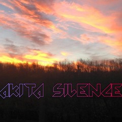 Akita Silence