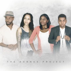 The Barnes Project