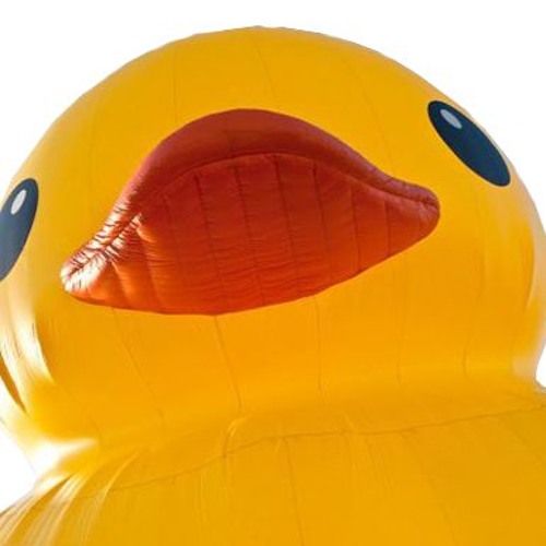 The Duck Lord’s avatar
