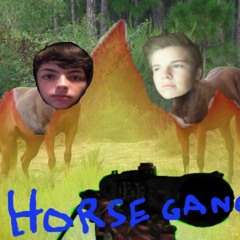 Horse gang