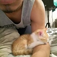 Daniel Felipe Vektor