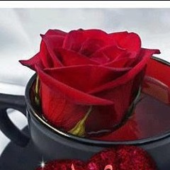 Stream Ø§Ù„ÙÙ†Ø§Ù† Ø¹Ù„Ø§ Music Listen To Songs Albums Playlists For Free On Soundcloud