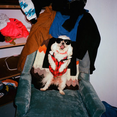 mellisadebbramarcotte