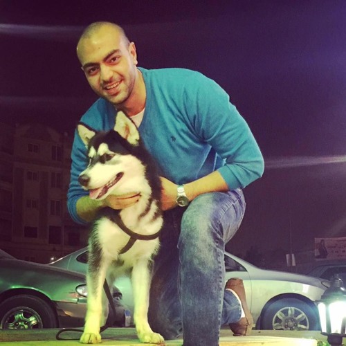 Stream Karim Alaa 16 Music Listen To Songs Albums Playlists For