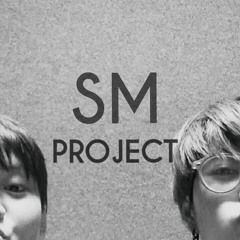 SM PROJECT
