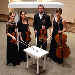 01 "Winter"- A. Vivaldi - "Con Amabile" String Quartet