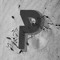 Parameter