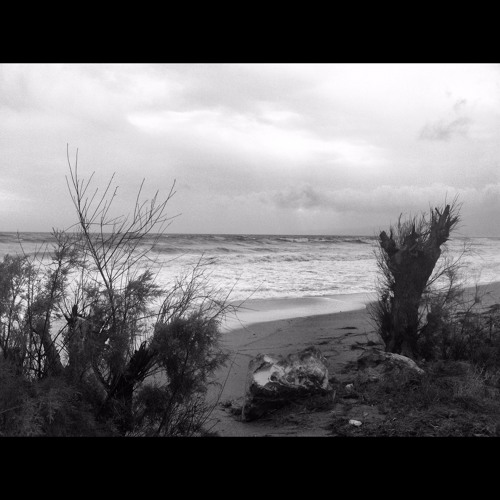 Augmented Reality (Field Recording + Audio effects)