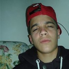 Gustavo grau e corte SP BR  MG Go