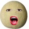 Cashmere Cantaloupe