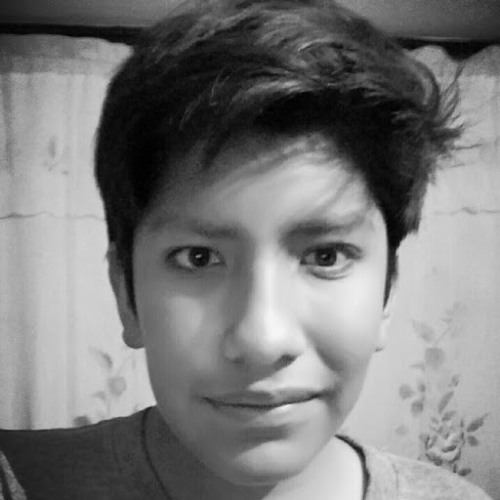 Luis Montoya’s avatar