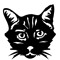 Yan The House Cat