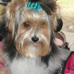 Susan Eden-Silverstein