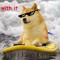Doge