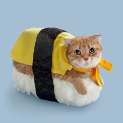 chiapet