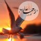 ميسون عبدالعزيز