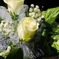 Hunor Natanael Kelemen