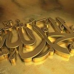 نور الهدي الهدي
