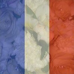 user653361154