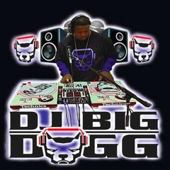 DJ Big Dogg