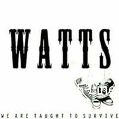 Wattz Upper