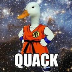 Space Duck