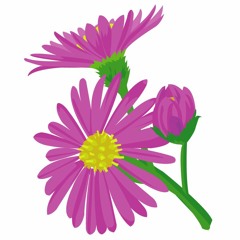 アステル