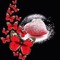 Ayesha Nadeem