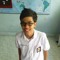 Apis Mfh