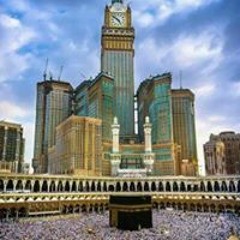 جديد