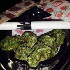 Kevin Gallardo Rocha