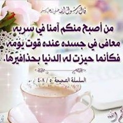 Hussein Aboalbaraa