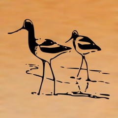 The Sandpipers