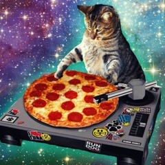 Gatuno