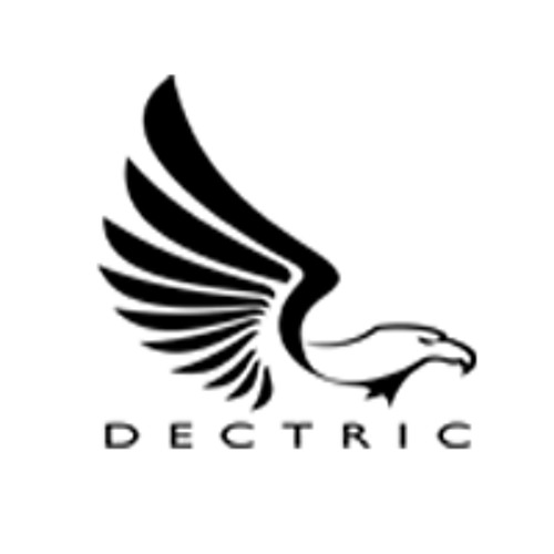 Dectric’s avatar