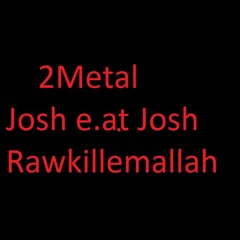 2metal