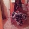 Shamira Key