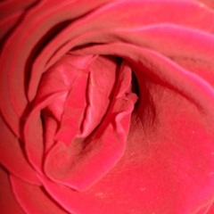 ‫راشد الهطالي‬‎