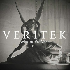Veritek