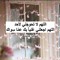 إسلام العصا