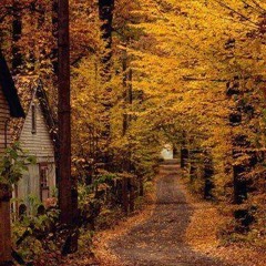 SHAGHAYEGH SHABNAM KHAN