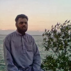 Hussnain Sajjad