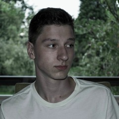 Stan van der Heijden