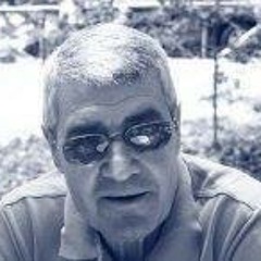 Amedeo Falotico