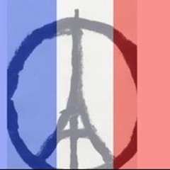 User 203810488